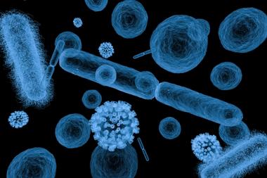 SERS Biodegradation