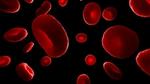 Systemic image