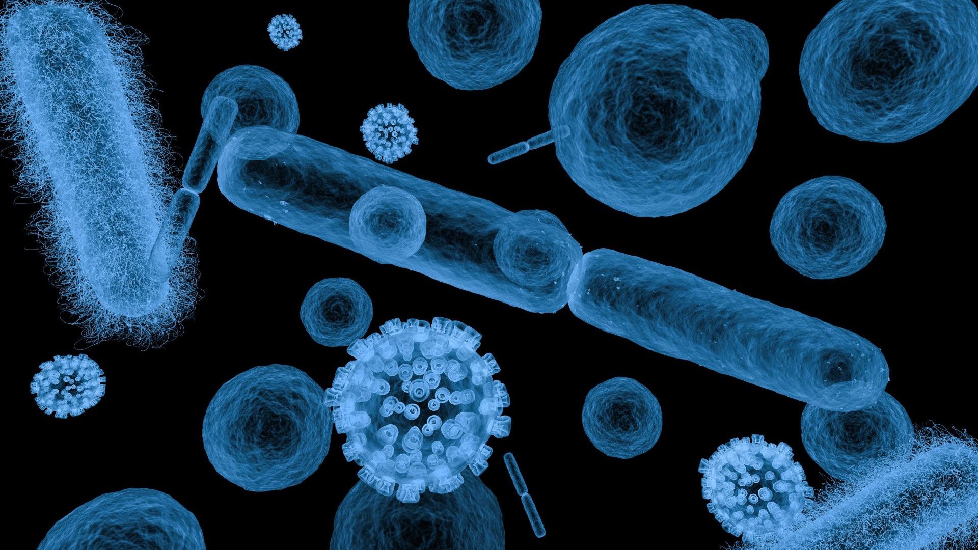 Microscopic view of various bacteria and viruses in blue hues against a black background, showcasing intricate cellular structures.