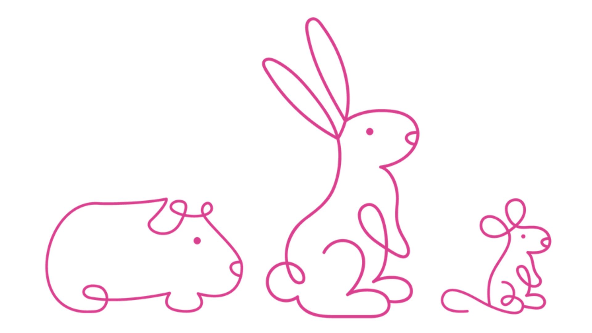 Save Cruelty Free Cosmetics